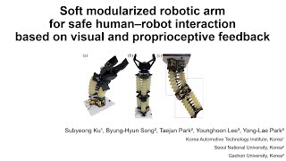 Soft Modularized Robotic Arm for Human–Robot Interaction Based on Visual and Proprioceptive Feedback [upl. by Nuahsal357]