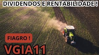 VGIA11 FIAGRO  OTIMOS DIVIDENDOS E RENTABILIDADE MAS ENTENDA [upl. by Anoynek]