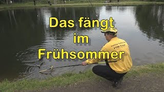 Das fängt im Frühsommer [upl. by Ullman]