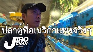 EP 138ที่อเมริการาคาปลาตู้แพงจริงๆ [upl. by Bari]