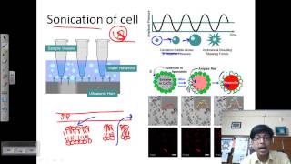 Sonication process [upl. by Frame]