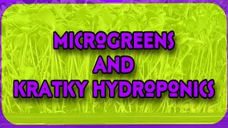 Gardening and Kratky Hydroponics Update [upl. by Aihsa]