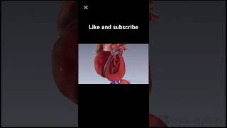 Congestive heart failure biologyclass12 biology animation [upl. by Ahser]