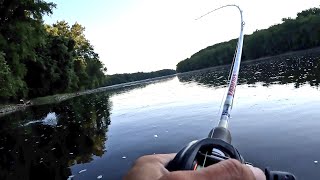 10000 Kayak Tournament WIN Susquehanna River Hobie BOS [upl. by Nordgren]