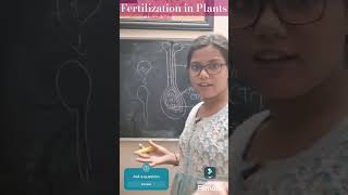 Fertilization in Plants cbseclass10 biology reproductioninplants [upl. by Repsihw]