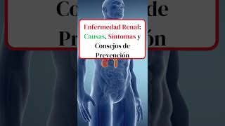 🩸 Enfermedad Renal Causas Síntomas y Consejos de Prevención shortsvideo [upl. by Serafina]