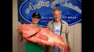 Man Catches 200YearOld Fish In Alaska [upl. by Gifferd]