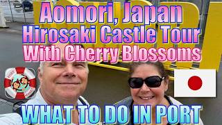 Aomori Japan  Cherry Blossoms at Hirosaki Castle Tour  What to Do in Port 弘前城の桜ツアー [upl. by Llerehc635]