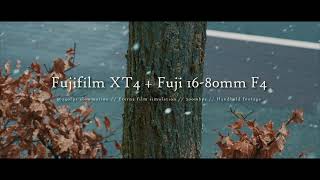 Fujifilm XT4  240fps  Cinematic [upl. by Anasxor]