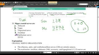 Cranial nerve anatomy  GSE GVE SVE GVA GSA SVA SSA distribution [upl. by Ignatius257]