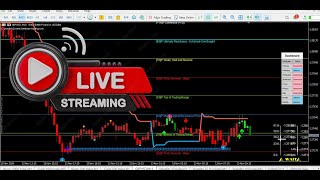 FOREX LIVE GOLD TRADING ON XM BROKER [upl. by Lynd]