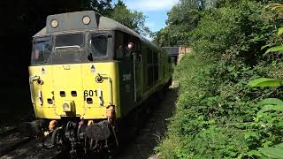 Ecclesbourne Valley Railway 31601 18072024 [upl. by Ellehsal]