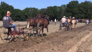 American Thresherman Association  Horse Plowing [upl. by Etterrag924]