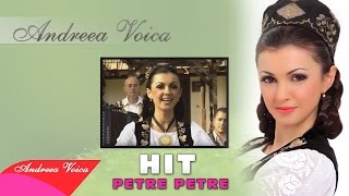 Andreea Voica  Petre Petre HIT Oficial [upl. by Cirri410]