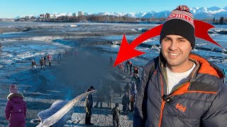 Exploring a Beached 47ft Fin Whale Up Close with a Giant Anchorage Alaska 2024 [upl. by Haldan]