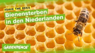 Bienensterben Imkerstory aus den Niederlanden [upl. by Nedda]