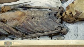 Heres Why This Egyptian Mummy Was Dismembered [upl. by Oinotna]