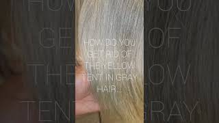 THE TRUTH ABOUT GRAY HAIR hairtok naturalhairtutorial howtogrownaturalhair hair silkpress [upl. by Julienne]