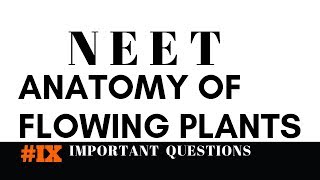 Daily10Questions Part 9  ANATOMY OF FLOWERING PLANT  Important Questions [upl. by Aysahc]