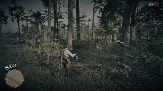 Raw Arrowhead Red Dead Redemption 2 online [upl. by Adliw]