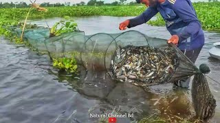 Traditional Fishing in Bangladeshi Village part 25  bd fishing  Natural Channel BD [upl. by Cyndie]