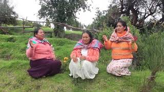 RESPLANDOR DEL CIELO Padre MÃ­o No Me dejes PASTORA VILMA TOVAR [upl. by Hcone]