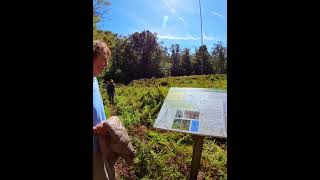 The Hopkins Memorial Forest in Williamstown includes the quotMETquot tower by Williams College [upl. by Gnot439]