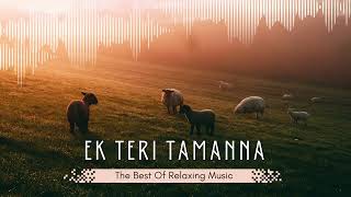 Ek Teri Tamanna  Full Song  aadi65k  SlowedReverb  High quality New song 2024 [upl. by Akcirahs]