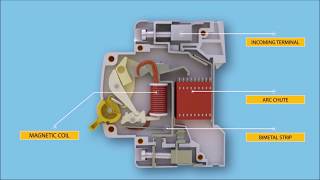 HOW MCB AND RCD WORK [upl. by Yztim440]