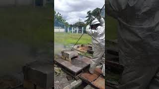 Cutting concrete with TL 16mm Type T [upl. by Einehpets]