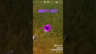 New portal in Fortnite gaming fortnite foryou viralshorts portal fortniteshorts shorts yt [upl. by Luing]