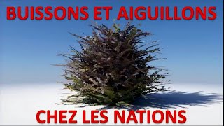 Buissons et aiguillons chez les nations 22 [upl. by Yenruogis]