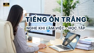 Tiếng Ồn Trắng học học tập và làm việc 360vr [upl. by Rexfourd]