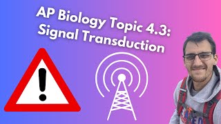 43 Signal Transduction  AP Biology [upl. by Eldred199]