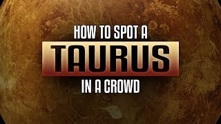 Taurus Traits  How to spot a Taurus in a crowd [upl. by Vivl]