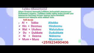 Afaan Oromoo Nyaata Aadaa Oromoo Fi Fufiilee Maxxantoota study Afaan OromooAmharic English letter [upl. by Earleen401]