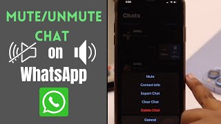 Mute and Unmute a Conversation on WhatsApp Easy Step by Step [upl. by Biles]