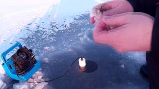 Ice fishing with Vexilar FL8 [upl. by Laurena]