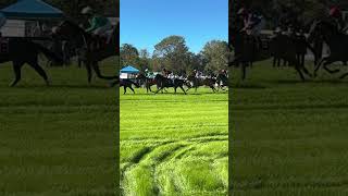 Horse race must watch photo finish ￼ [upl. by Ahtiekal]