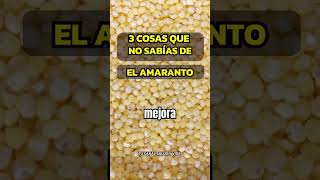 3 BENEFICIOS DE CONSUMIR AMARANTO alimentossaludables amaranto salud [upl. by Walter]