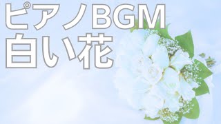 音楽の卵ピアノBGM「白い花」光り輝く一輪の花 [upl. by Ylrebma333]