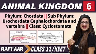 Animal Kingdom 06  Phylum Chordata II Class Cysclostomata  Class 11NEET  RAFTAAR [upl. by Inar341]