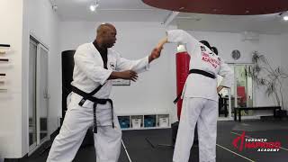 Hapkido fighting stance  how and why [upl. by Eiboh]