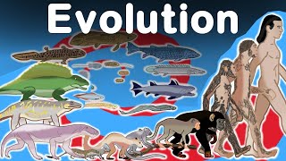 Evolution and Population Genetics Exploring the Interconnection [upl. by Geesey673]