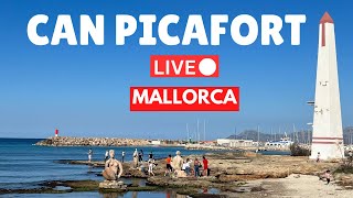 🔴 BIG ANNOUNCEMENT in LIVE in Can Picafort Mallorca Majorca  14 April 2024 [upl. by Durant]