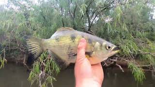 North Qld trip Lakefield national park [upl. by Arabrab621]