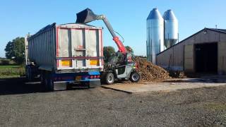 Weidemann T4512 filling a lorry in County Cork [upl. by Nnayrrehs]