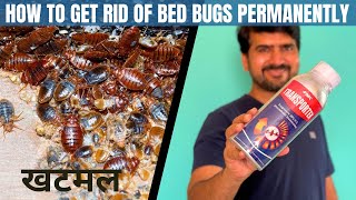 How to get rid of bed bugs permanently  How to use bed bugs killer spray  Best bed bugs pesticide [upl. by Calandra]