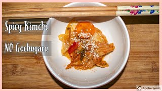 Ep 11 How to make Spicy Kimchi without GOCHUGARU Using Paprika and Chilli Powder [upl. by Petty533]