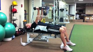 FLAT BENCH HAMMER PRESS [upl. by Magena]